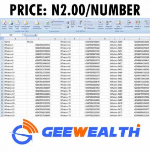 Buy Verified Nigerian Whatsapp Phone Number Database for Mobile Marketing 2020
