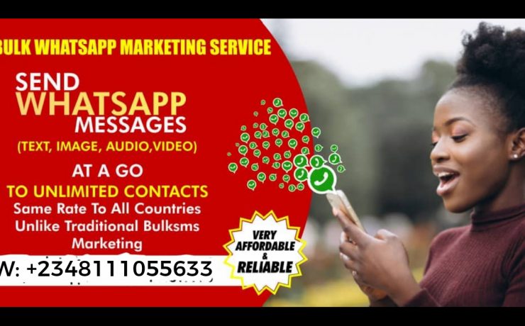 Whatsapp Number Database