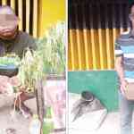 Herbalist, Yahoo boy Caught With Human Parts